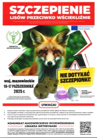Akcja szczepienia lis&oacute;w.
