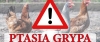 Informacja dla populacji og&oacute;lnej oraz os&oacute;b zawodowo narażonych na kontakt z&nbsp;chorymi zwierzętami.
