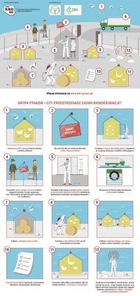 Apel Wojewody Mazowieckiego dotyczący wysoce zjadliwej grypy ptak&oacute;w.