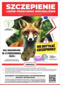 Szczepienie lis&oacute;w