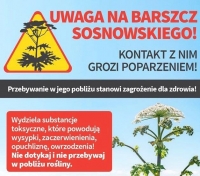 Uwaga - Barszcz Sosnowskiego