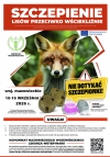Szczepienie lis&oacute;w