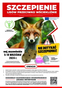 Akcja szczepienia lis&oacute;w.