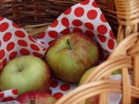 &bdquo;Jabłko &ndash; cytryna&rdquo; na drodze wojew&oacute;dzkiej W - 728