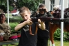 Piknik Historyczny z okazji 80. rocznicy wybuchu Powstania Warszawskiego